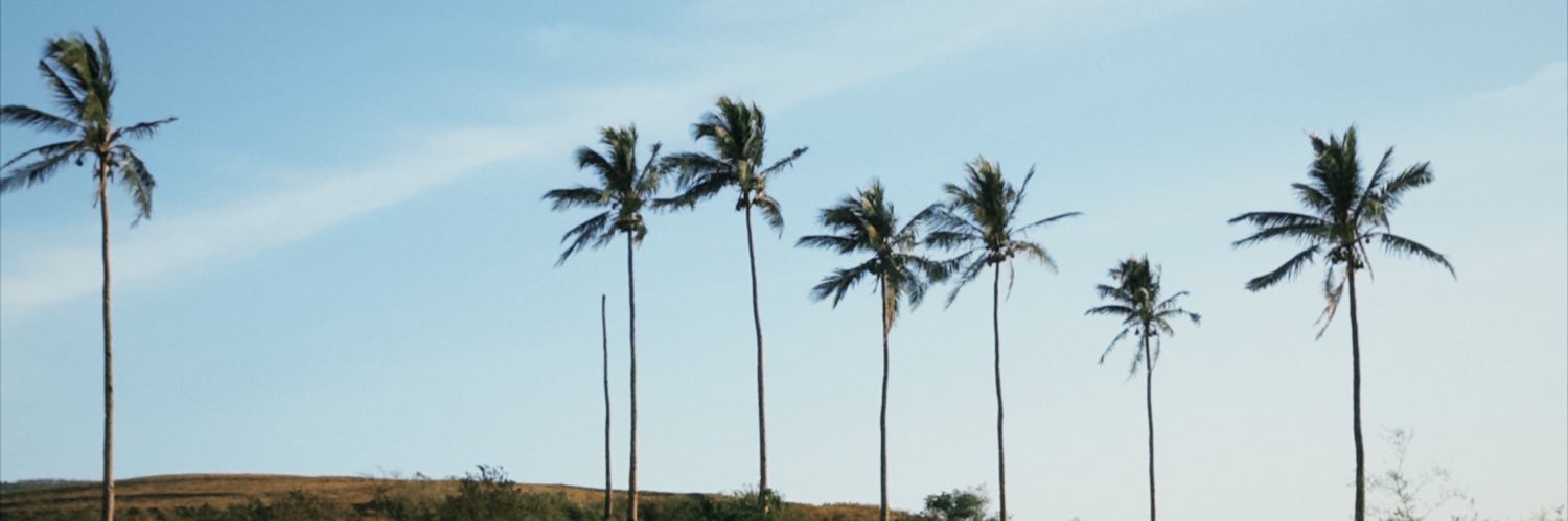 bowwnnn's profile banner image