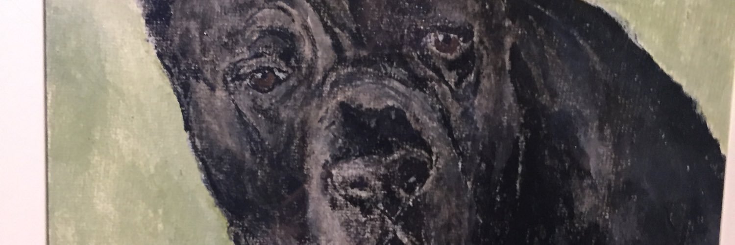 Domenico banner