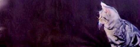 on03t4's profile banner image