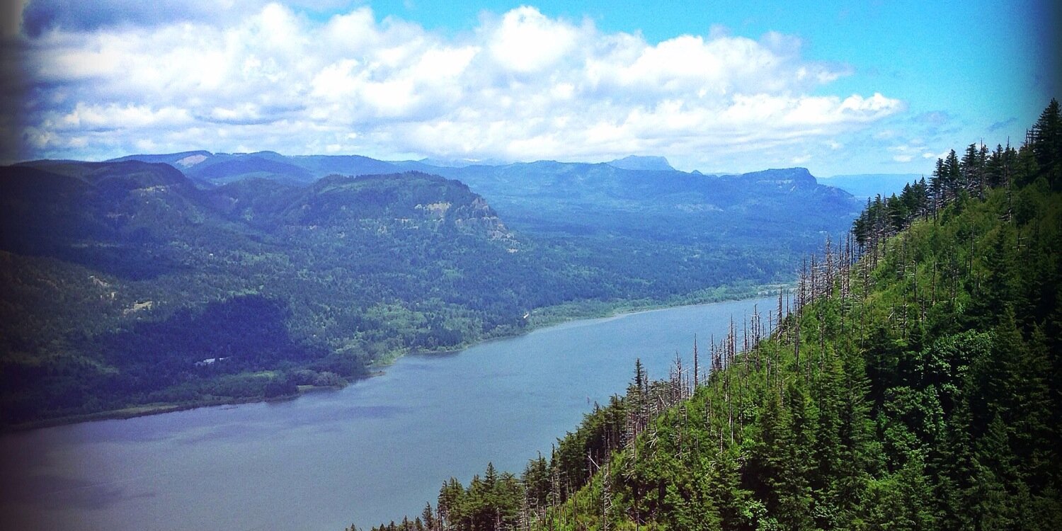 Kyle Smith 🦬 banner