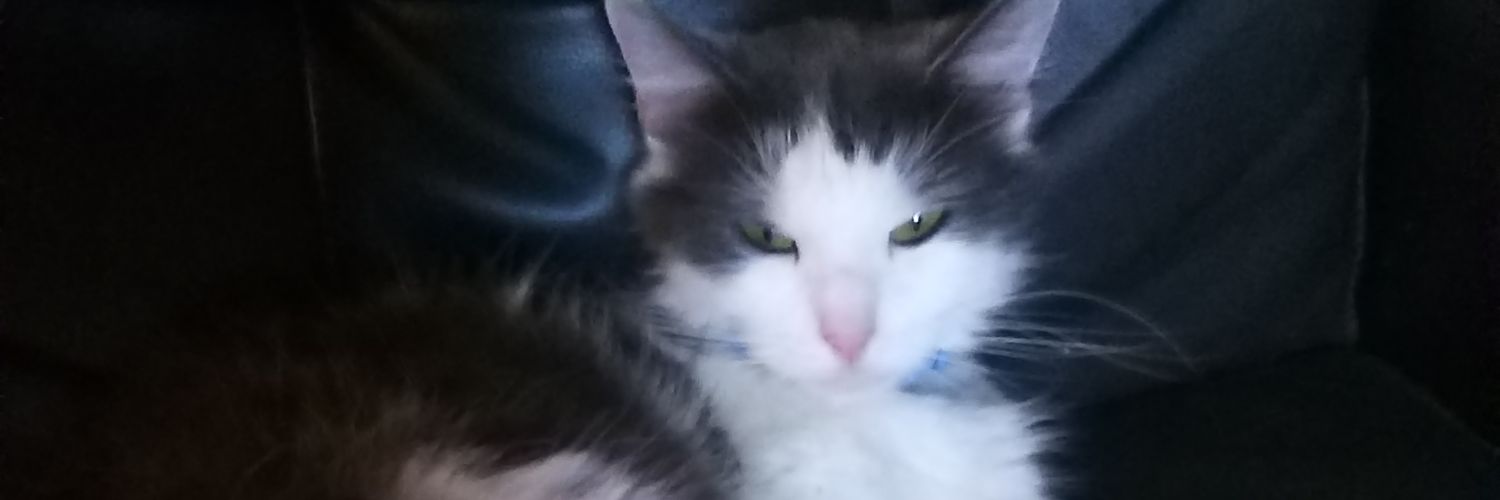 Poochxyz's profile banner image