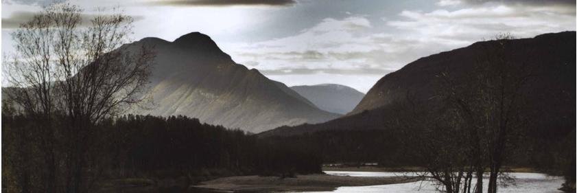 BeyondSleepFilm's profile banner image