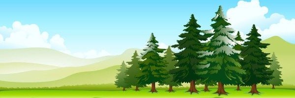 Child_of_Crypto's profile banner image