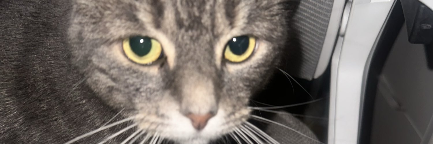 SkzRuby's profile banner image