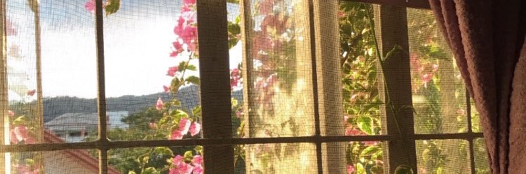 gabeeann's profile banner image