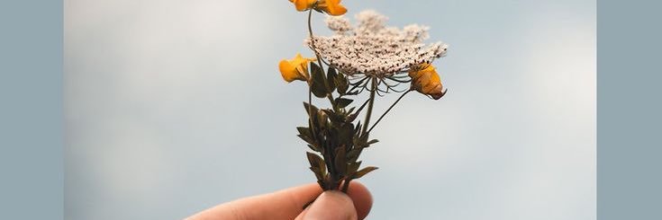 dlinaaimi's profile banner image