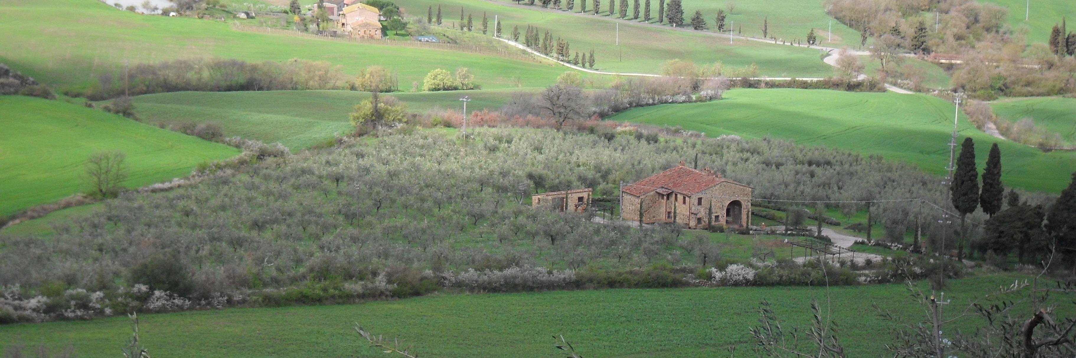 Christophe Corre banner