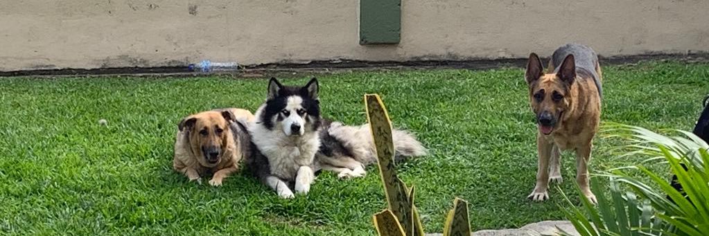 jerrsam96's profile banner image