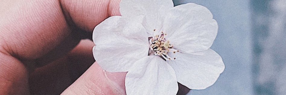 AgehaHee's profile banner image