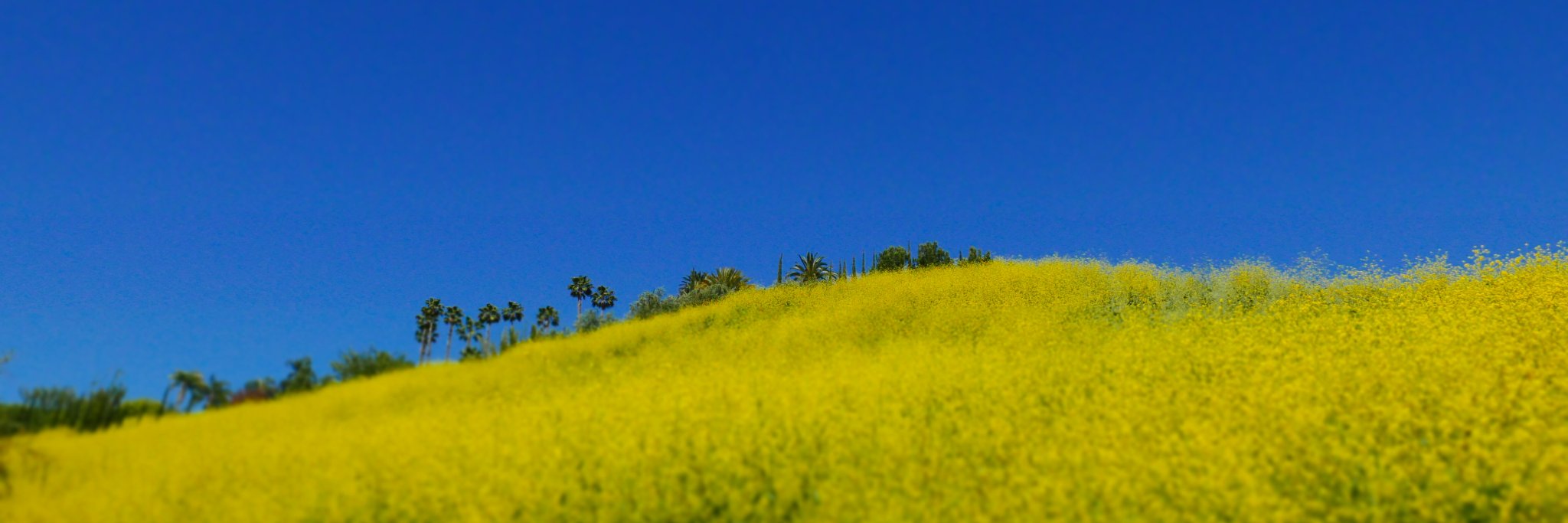 BrookeNevin's profile banner image
