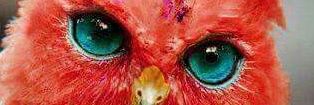 Nikolaskonst's profile banner image