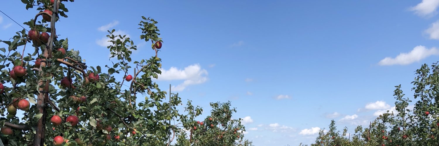 annahultberg's profile banner image