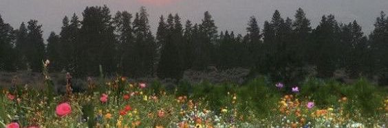 carsonleahb's profile banner image