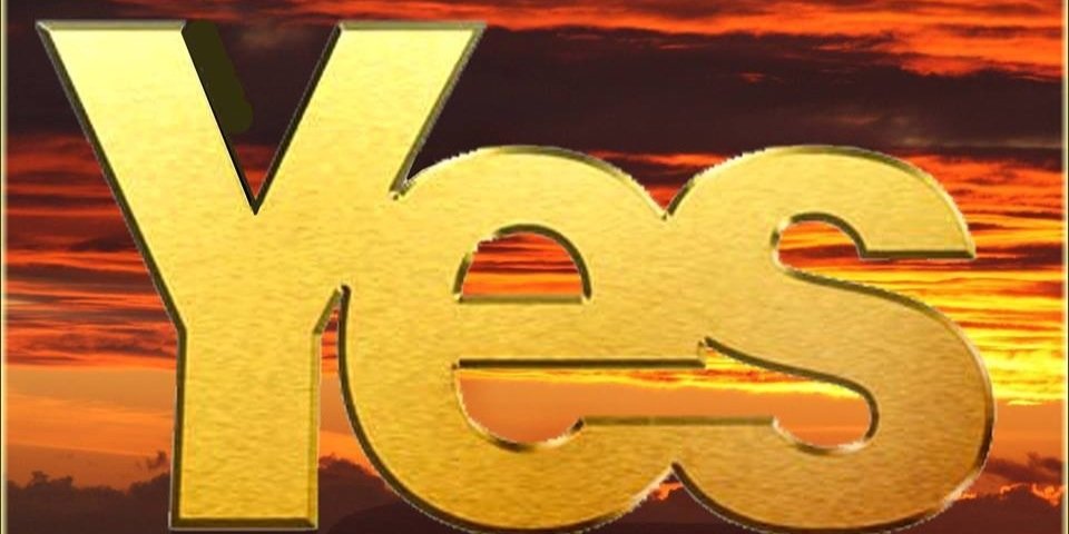 TheVP banner