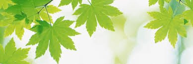 Saludyvida23's profile banner image