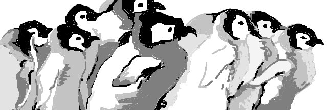 FpsSimarisu's profile banner image