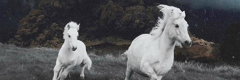 aaronwahle's profile banner image