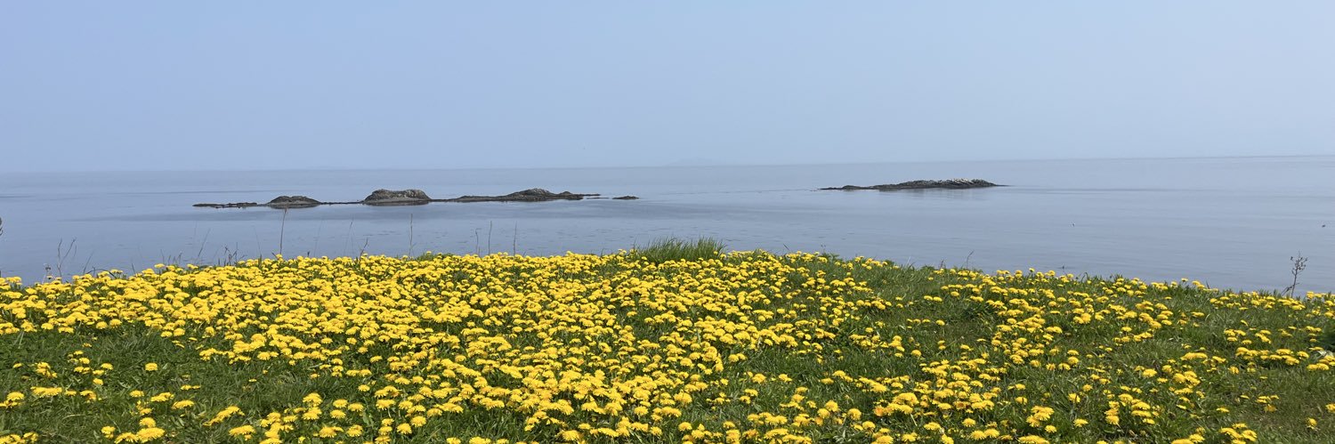 かねたく's banner