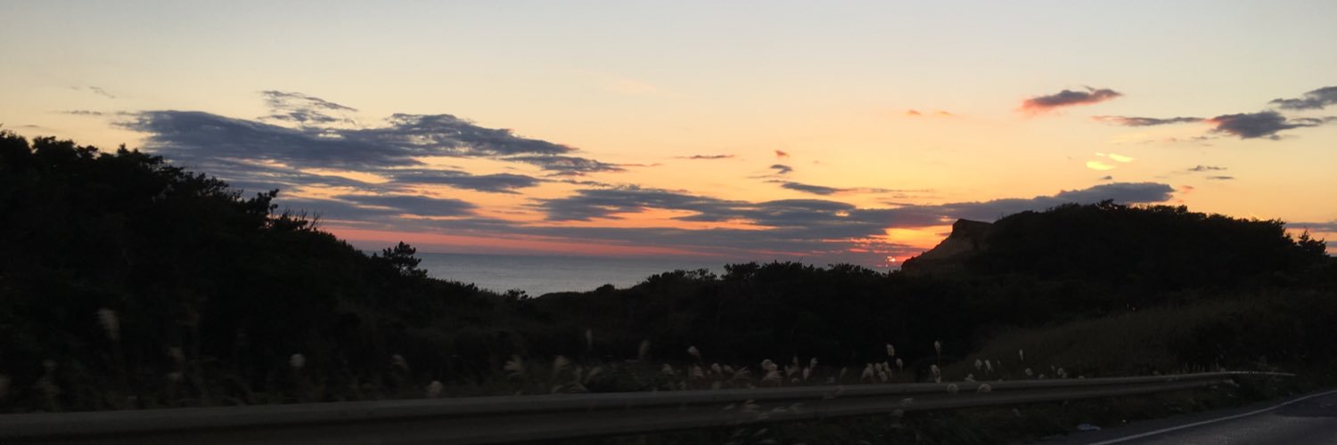 pino0910's profile banner image