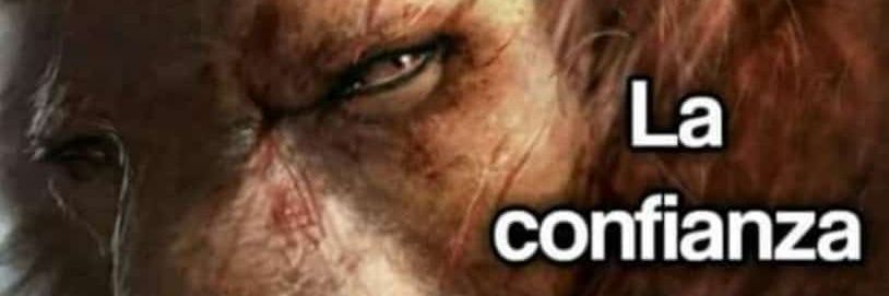 ossazo's profile banner image