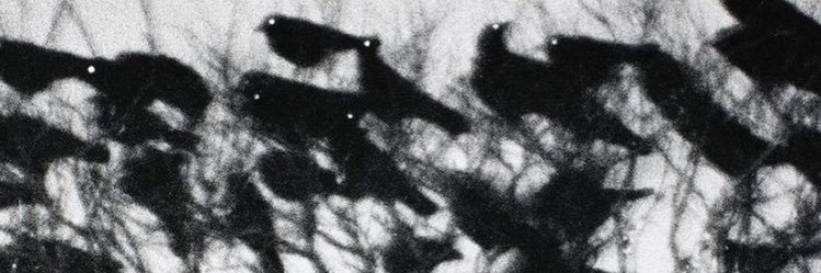 lui6e's profile banner image