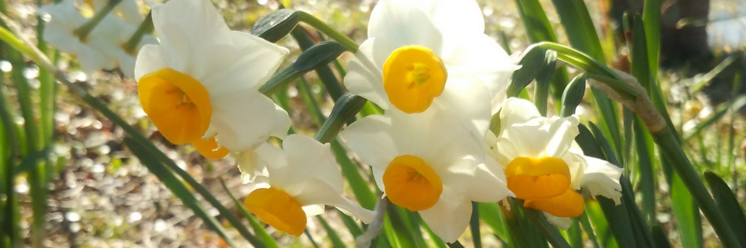 jun_jun_music's profile banner image