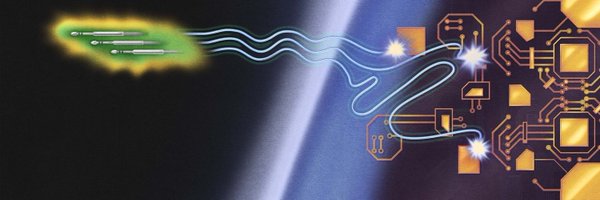 eli_enis Profile Banner