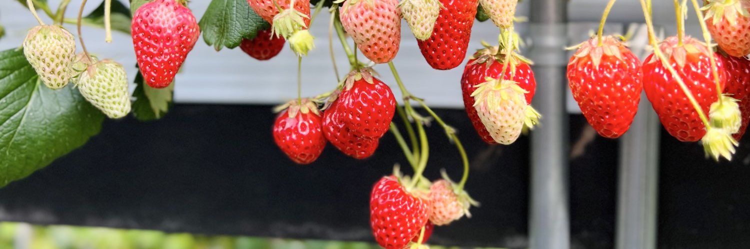 やも🫶🏻 banner