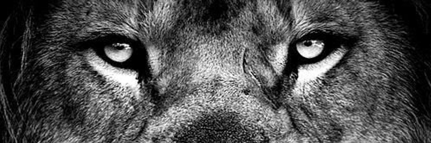 symbaax's profile banner image