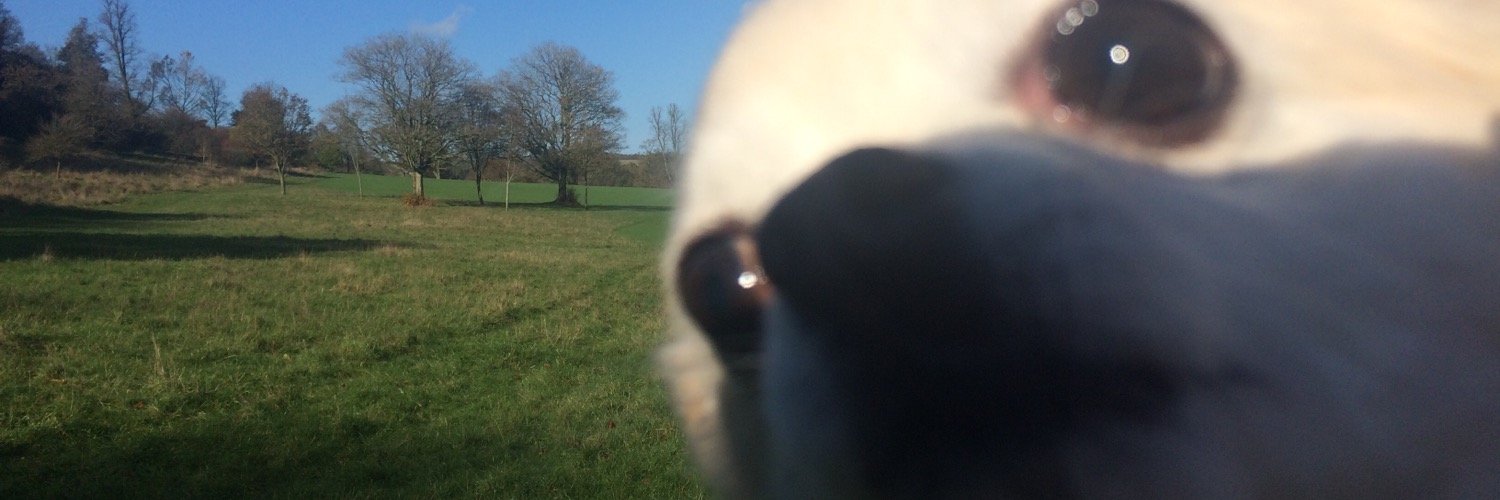 Emma Kingsman-Lloyd 🇺🇦 banner