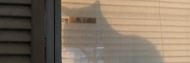 Rustytrombone2's profile banner image