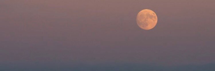 cimbomdnz's profile banner image