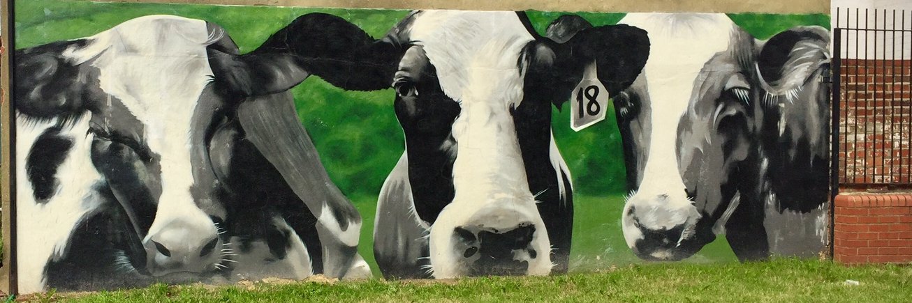 Reading Farmers' Market banner