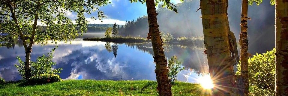 Juni Soehardjo 🌻 banner