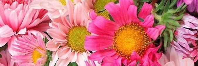 pp_rie's profile banner image