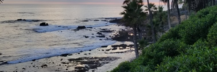 Random X account banner