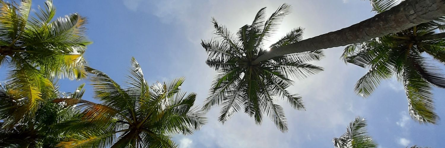 lui113's profile banner image