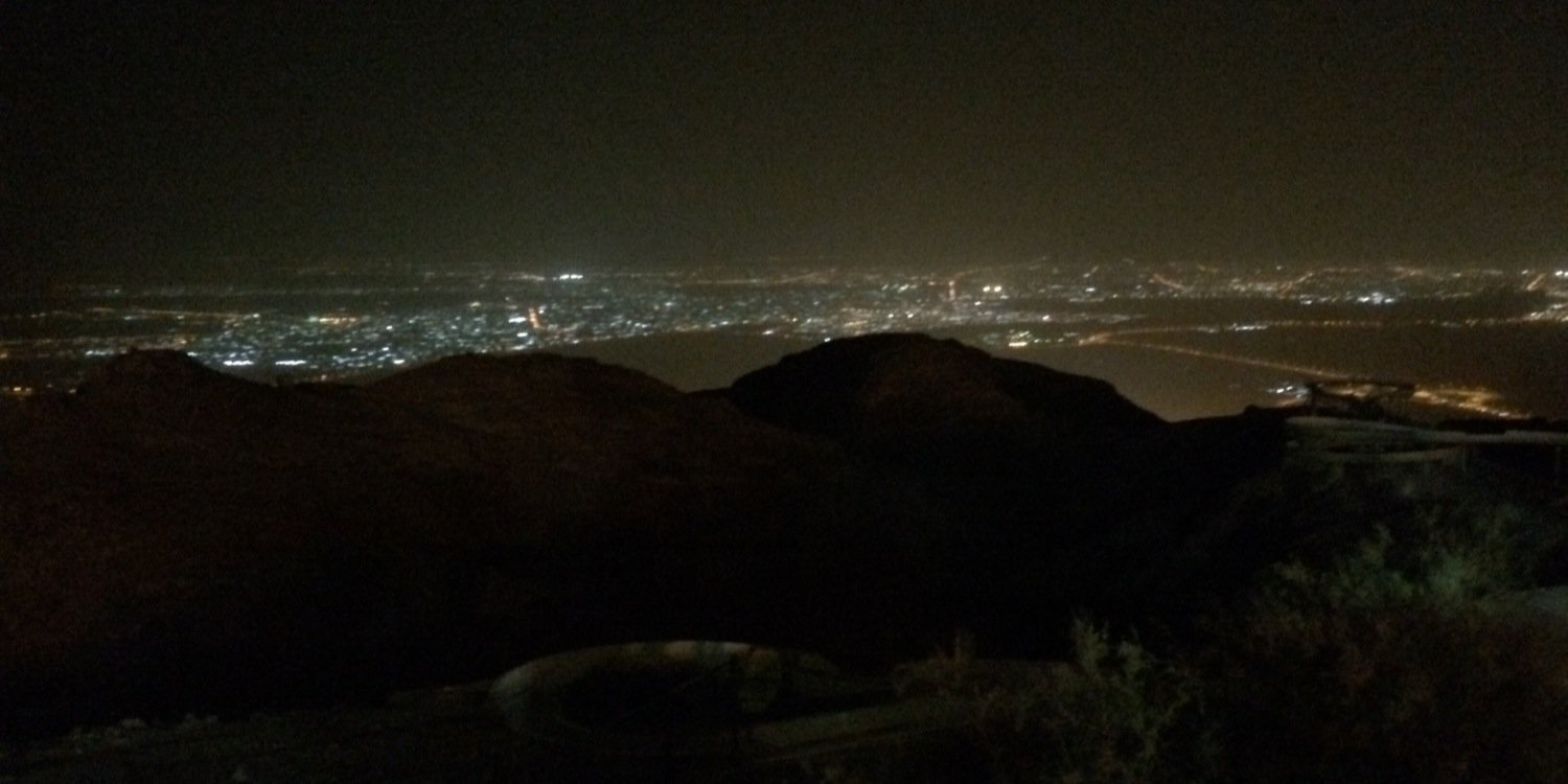 নীলাঞ্জন | Nilanjan | The Dogfather banner