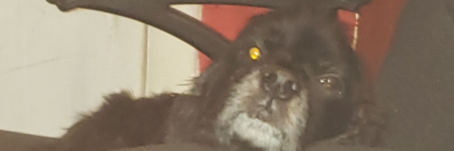 SpyRunner99's profile banner image