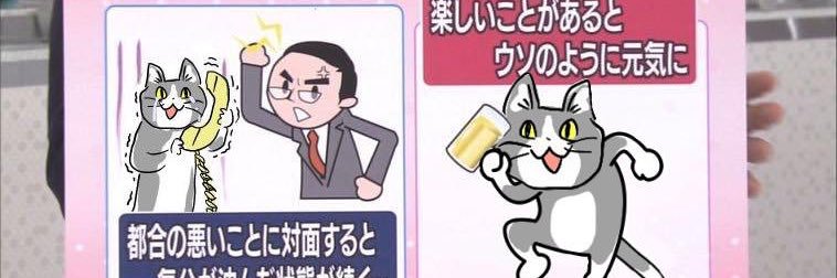 sunatoumi's profile banner image