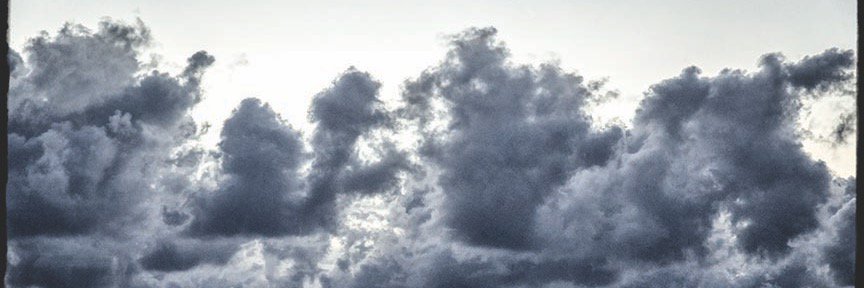 nytexano's profile banner image