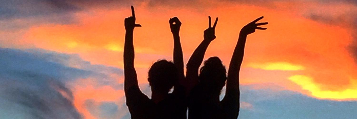 Allison Schmitt banner