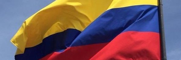 ing_lapm Profile Banner