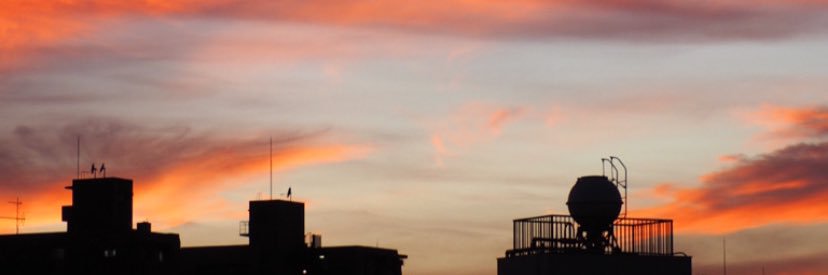 twit_tamano's profile banner image