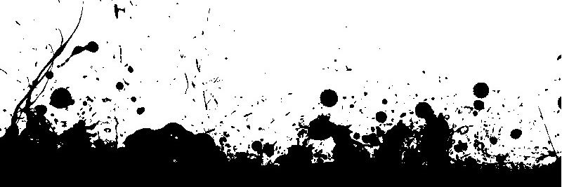 neluka34's profile banner image