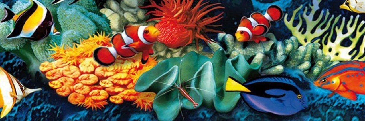 Danielle Hill banner