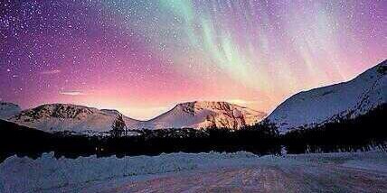 Life Experience banner