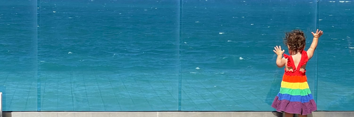 Michael Safir banner