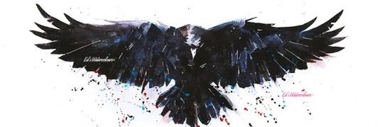 Raven Margaret banner