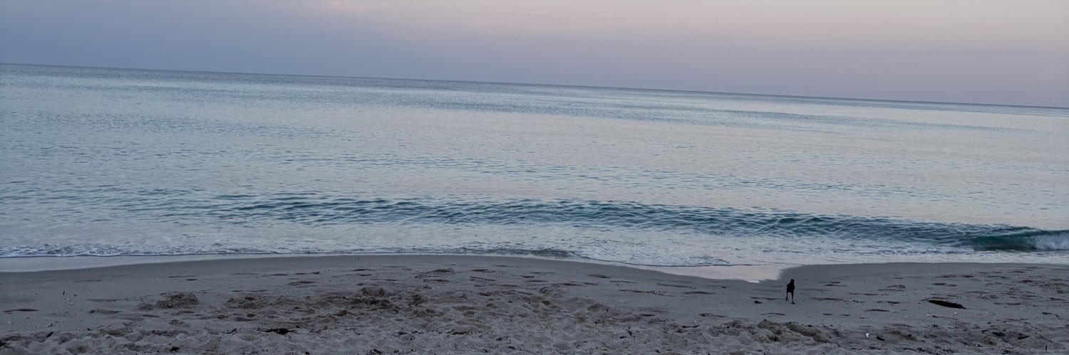 nanu_dv's profile banner image